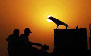 As things heats up - Monsoon gets ready