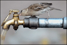 Portal Interactive: Heat Precautions in Urdu&nbsp;Language!