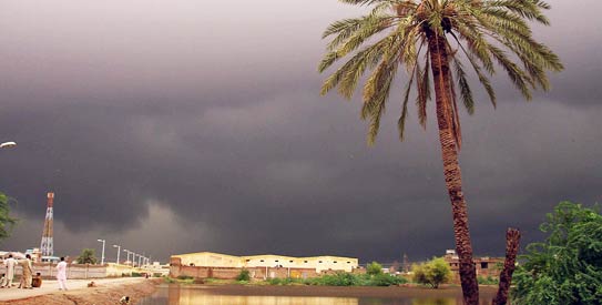 Portal Interactive: June and Rainfall at&nbsp;Tharparkar!