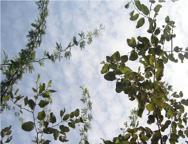 Pakistan Weather Update (December 19 – December&nbsp;25)