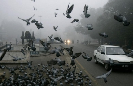 Pakistan Weather Update (January 13 – January&nbsp;20)