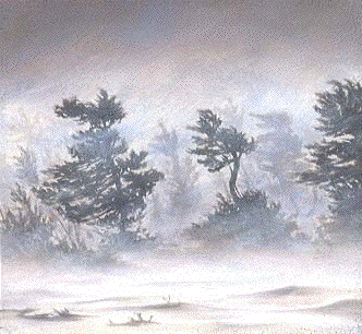 Froze to Death: The Wall Between Nature and&nbsp;Child!