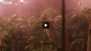 Red rain lashing Kerala in 2001 - Courtesy BBC