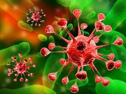Naegleria fowleri, brain eating parasite