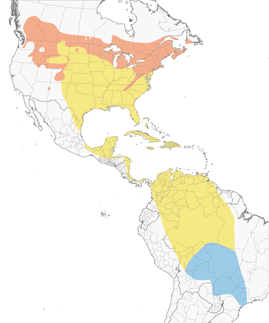 veery bird map