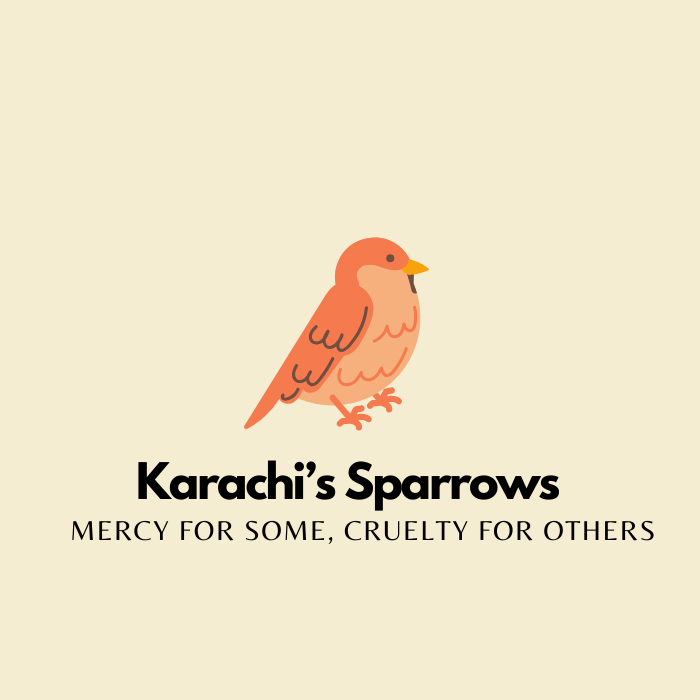 Karachi’s Wildlife – Sparrows are disappearing from the&nbsp;Skies