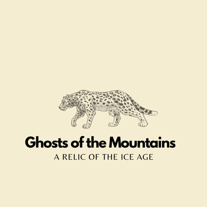 Snow Leopards in Pakistan: The Ancient Ghosts of the&nbsp;Mountains